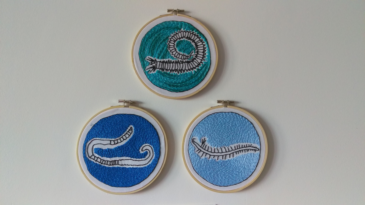 Three circular pieces of embroidery: each depicts a worm (one with no legs, one with legs, one with legs and a thicker segmented body) surrounded by blue, light blue, and turquoise stitching respectively