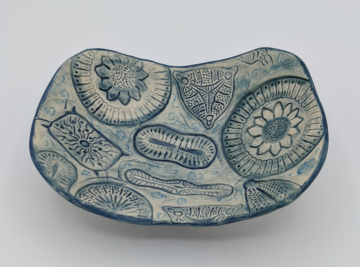 A curved rectangular plate patterned with diatoms/algae, outlined in dark blue