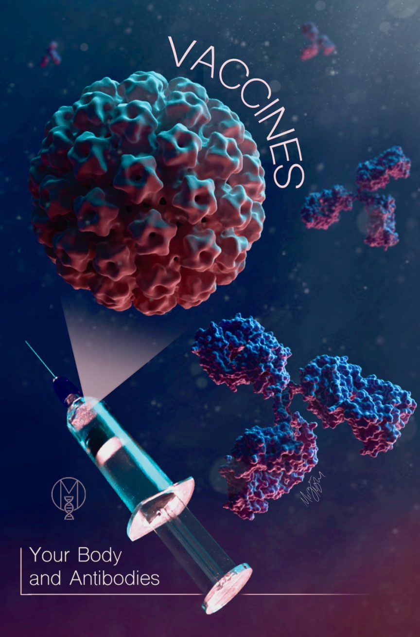 Image of syringe, round vehicle in which mRNA is carried, and antibodies that look like boat propellers. Text at the top says "Vaccines" and at the bottom says "Your body on antibodies."