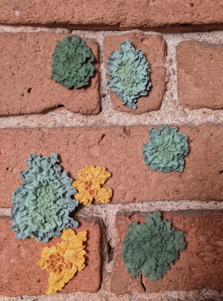 Green and yellow lichen on a brick wall
