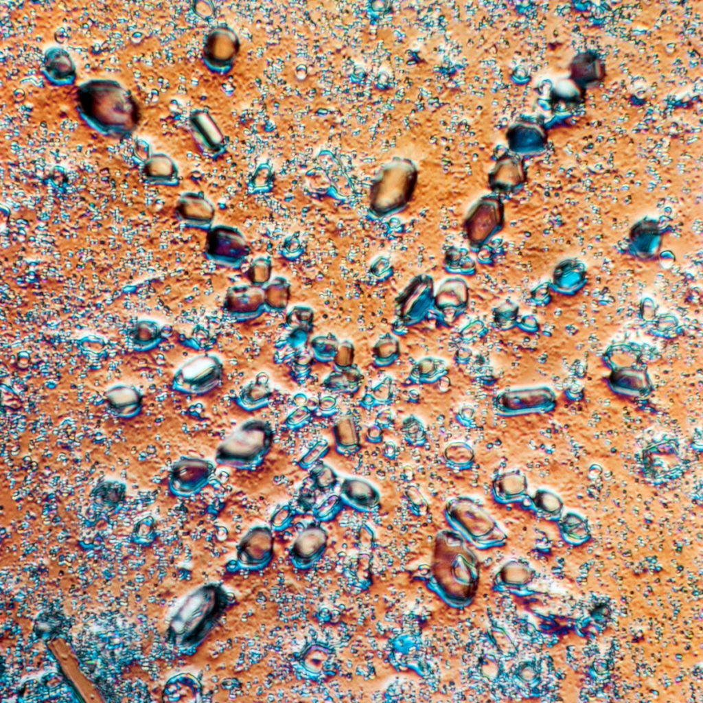 A starburst pattern formed by translucent shapes on a faded burnt orange background. 