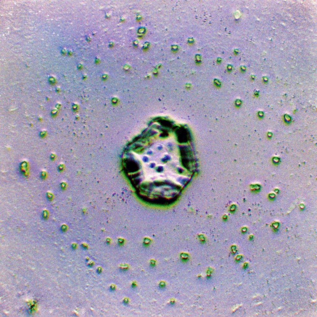 An irregular green hexagon shape sits in the center surrounded by tiny green dots. This all sits atop a pale purple-gray background. 