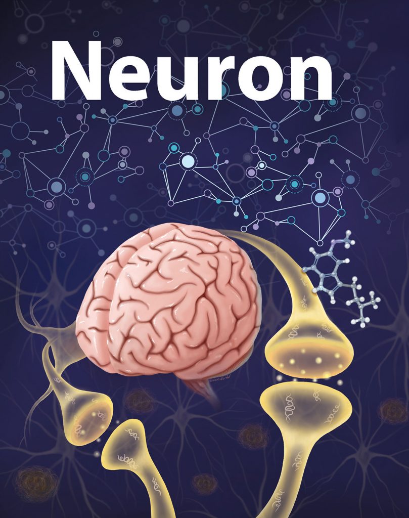 Illustration of a brain with large axon branches coming out of it. In the background are geometric lines and shapes, indicating neural networks. The top of the cover mockup says "Neuron." 