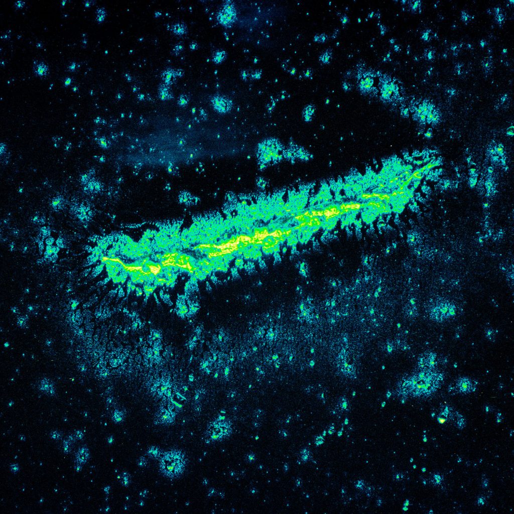 A wobbly line of glowing green and yellow sits on top of a dark blue background with flecks of green. It almost looks like a glowing galaxy and stars in outer space. 