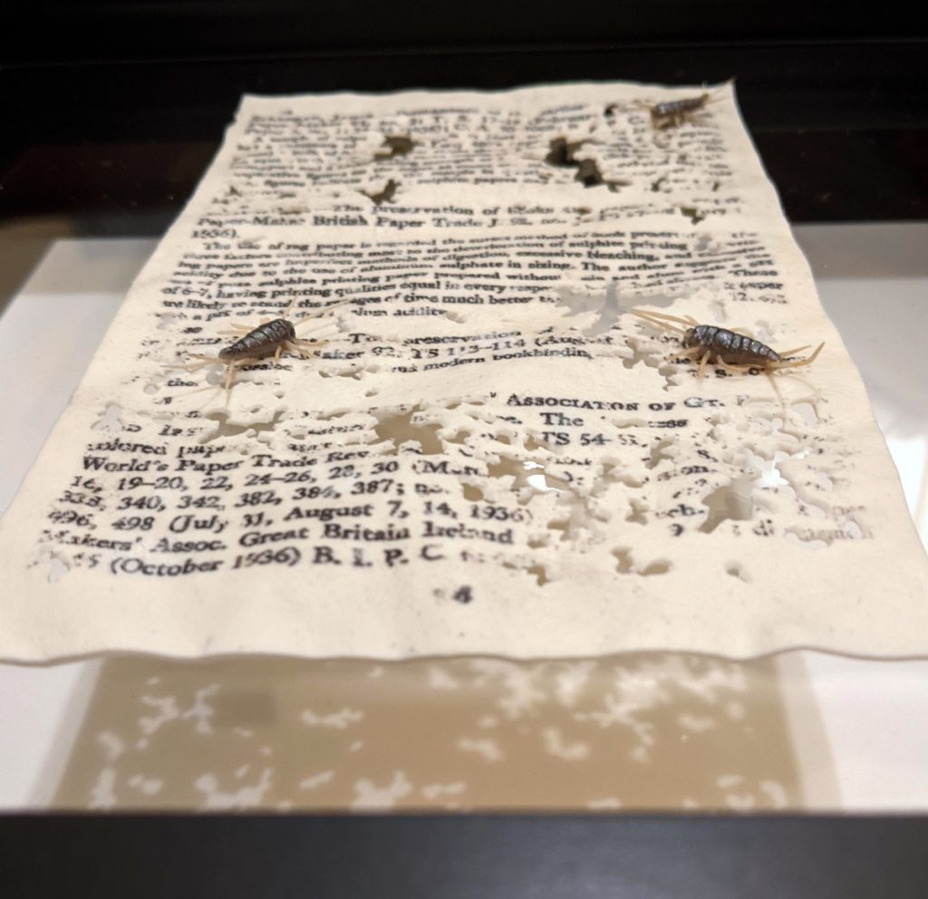 Book page covered with small holes and silverfish
