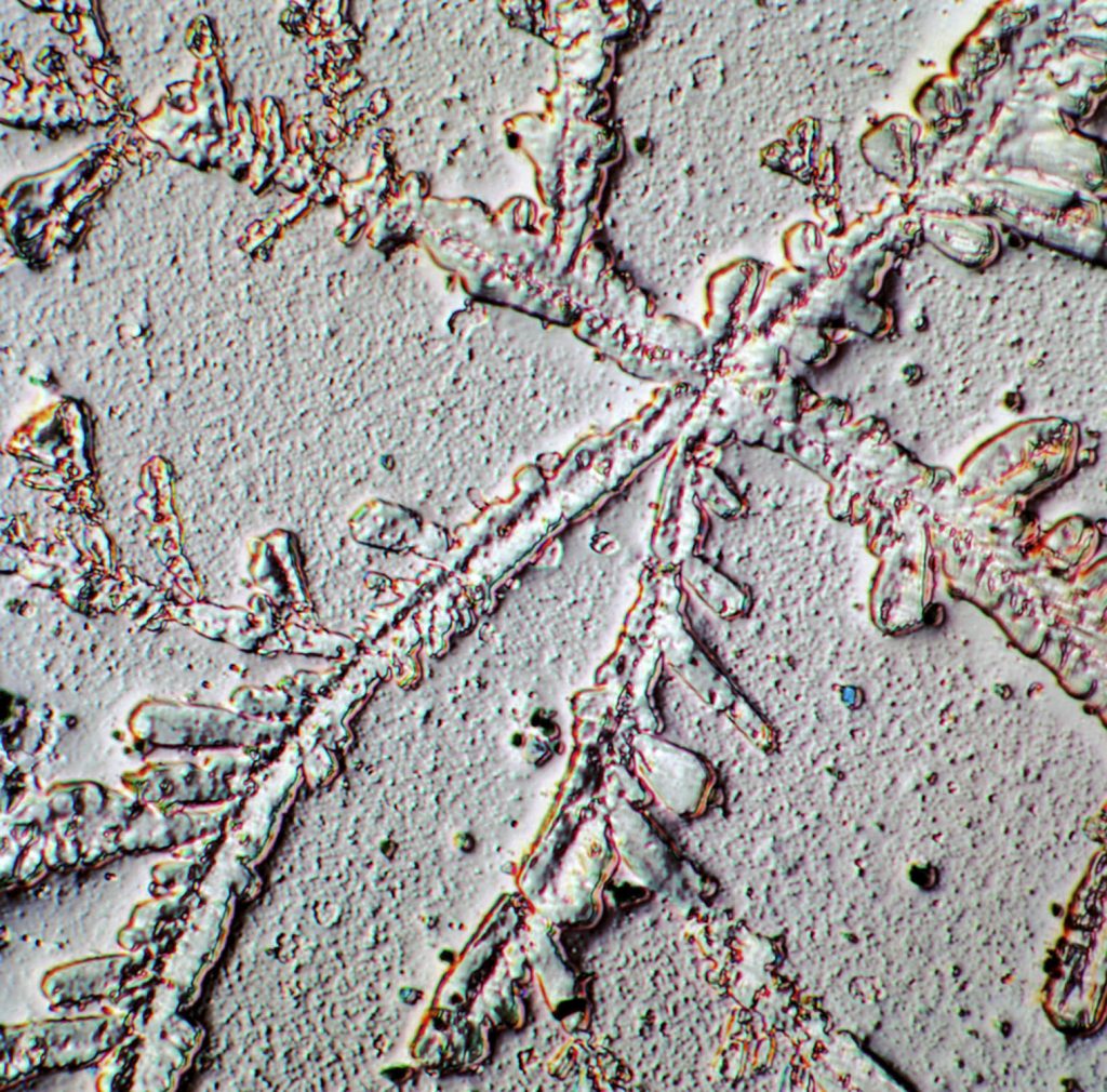 Branching crystalline shape emerging from a center point, like a snowflake. 