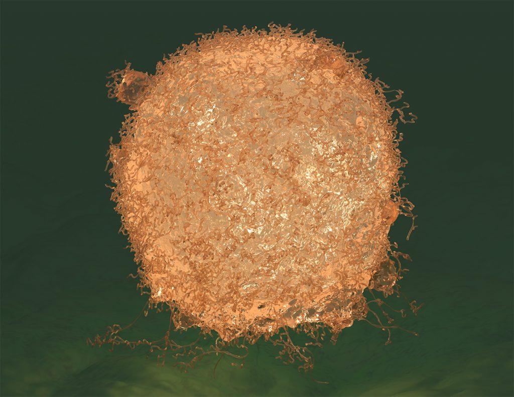 Illustration of a mesenchymal stem cell, which looks like an ball made of tiny orange twisted threads
