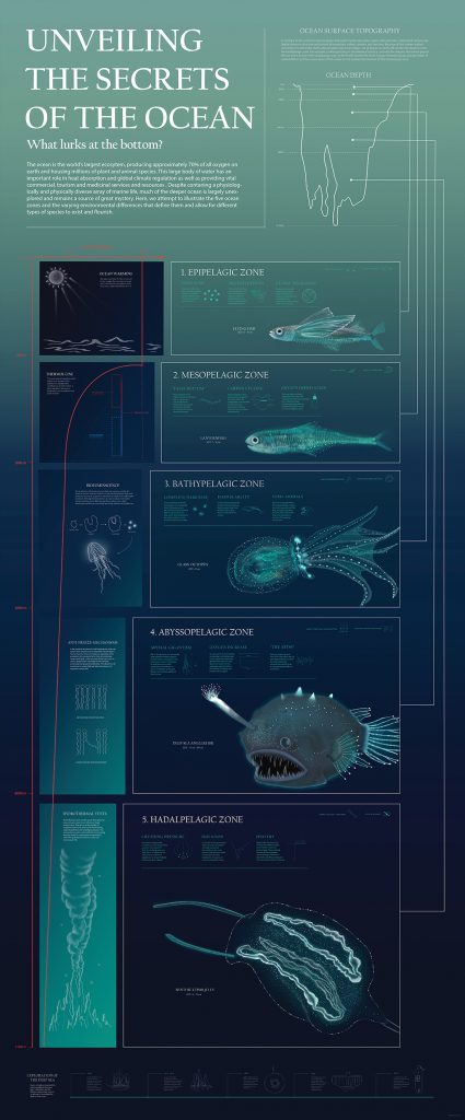 Infographic of sea creatures found at different ocean depths