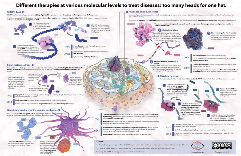 An pictorial illustration of different therapies at various molecular levels to treat diseases representation which shows CRISPR-Cas9, small molecule drugs and Antisense oligonucleotides by Gloria Fuentes