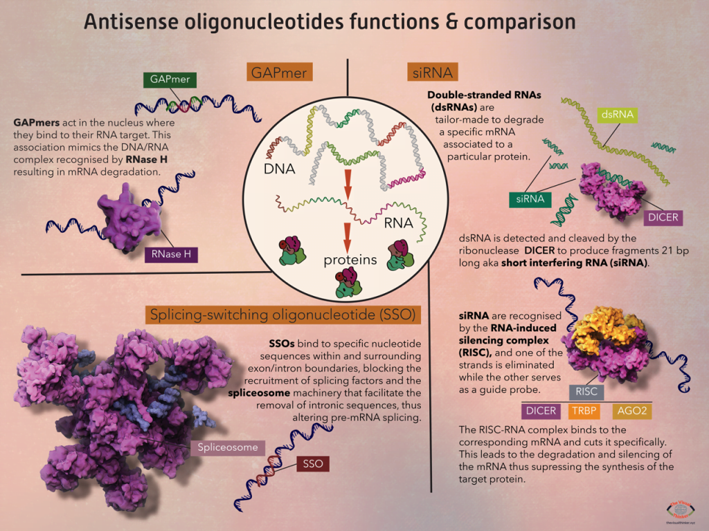 Pictorial Representation of Antisense oligonucleotides functions & comparison describing various actions of cells  (2020) by Gloria Fuentes