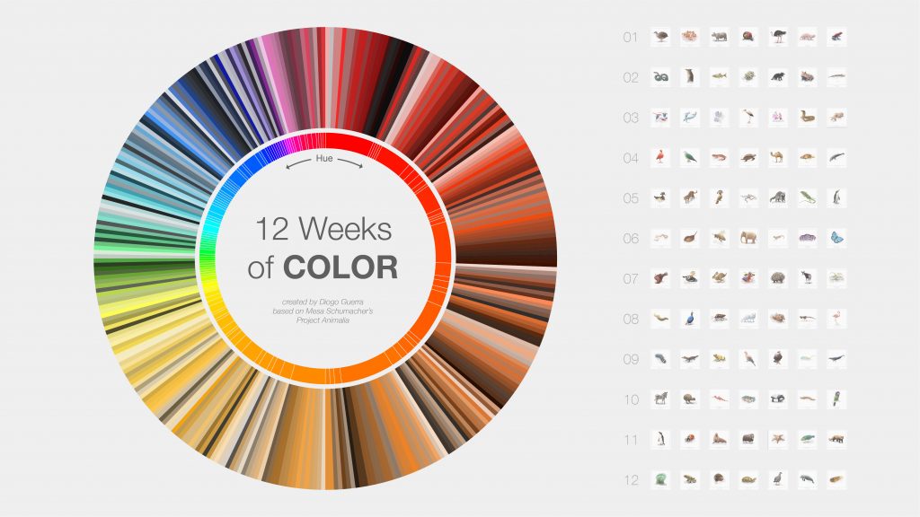 A circle with One Year of Color - along with animal presentation side project happening on Twitter, creating and visualizing color palettes based on Mesa Schumacher's project Animalia by Diogo Guerra