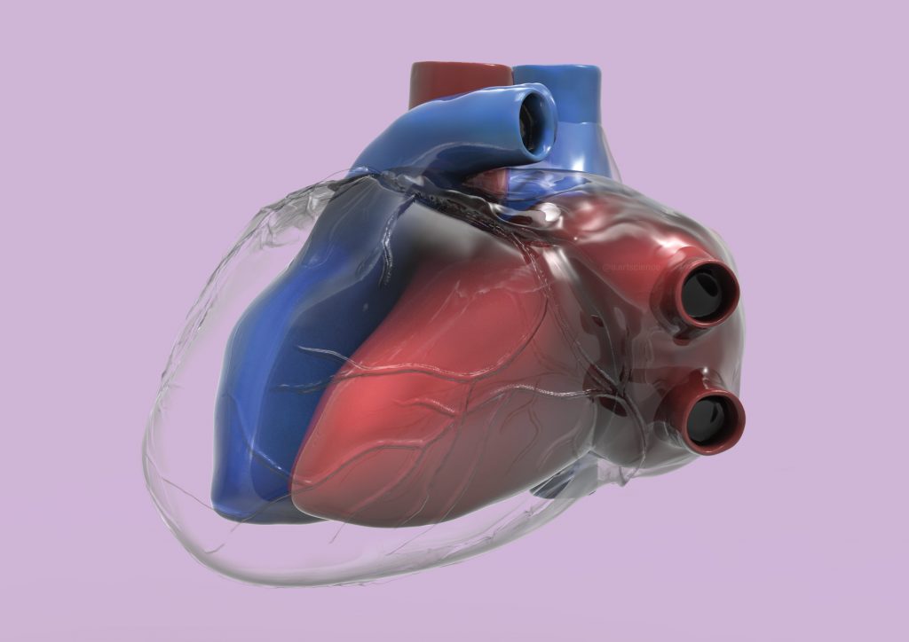 Glass Heart representation (Credit to University of Dundee) by Amie Fernandez