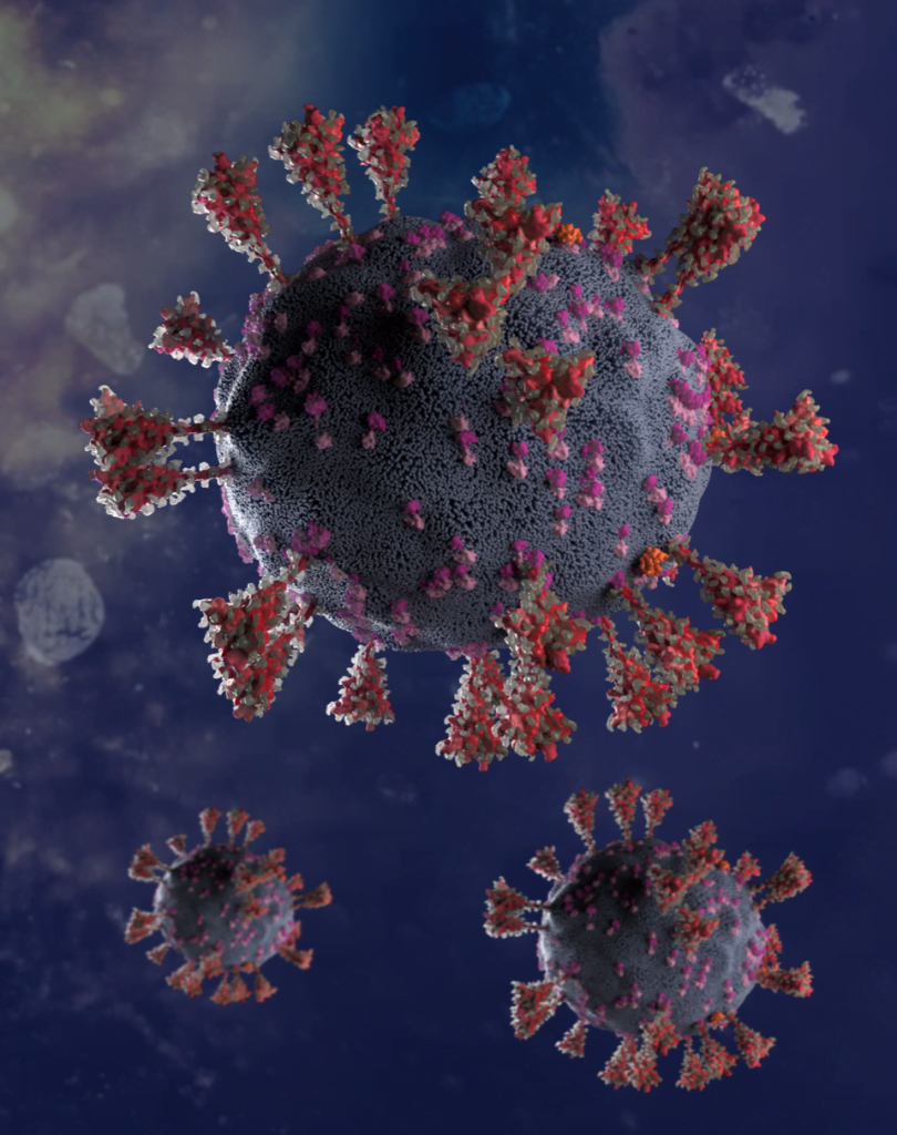 A pictorial representation of SARS-CoV-2 virus (shows a single magnified virus with other smaller ones) the global enemy (2021) by Gloria Fuentes