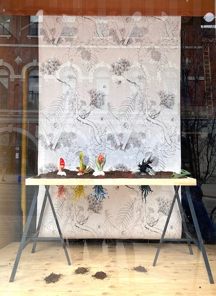 View of the installation through the window. Four colorful sculptures of fictitious plants sit on a wooden table with their equally bright roots below. Behind them is a panel of black and white illustrated plants.