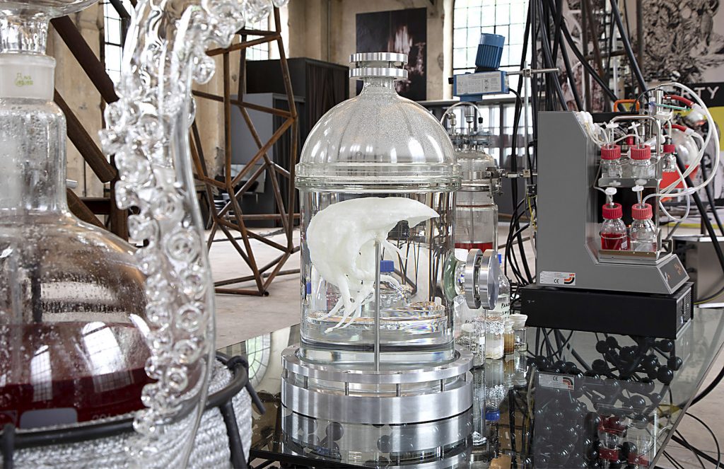 An organic white structure encased in glass, surrounded by scientific equipment.