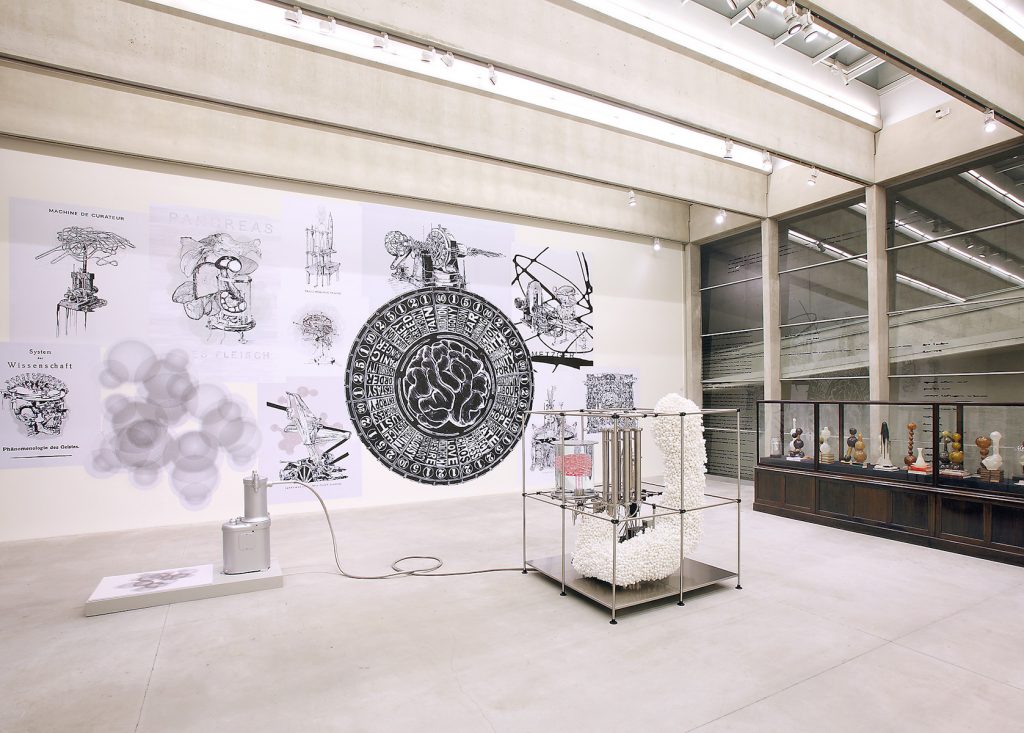 View of a bright room with scientific and medical illustrations on the wall and sculptures in the center of the room.