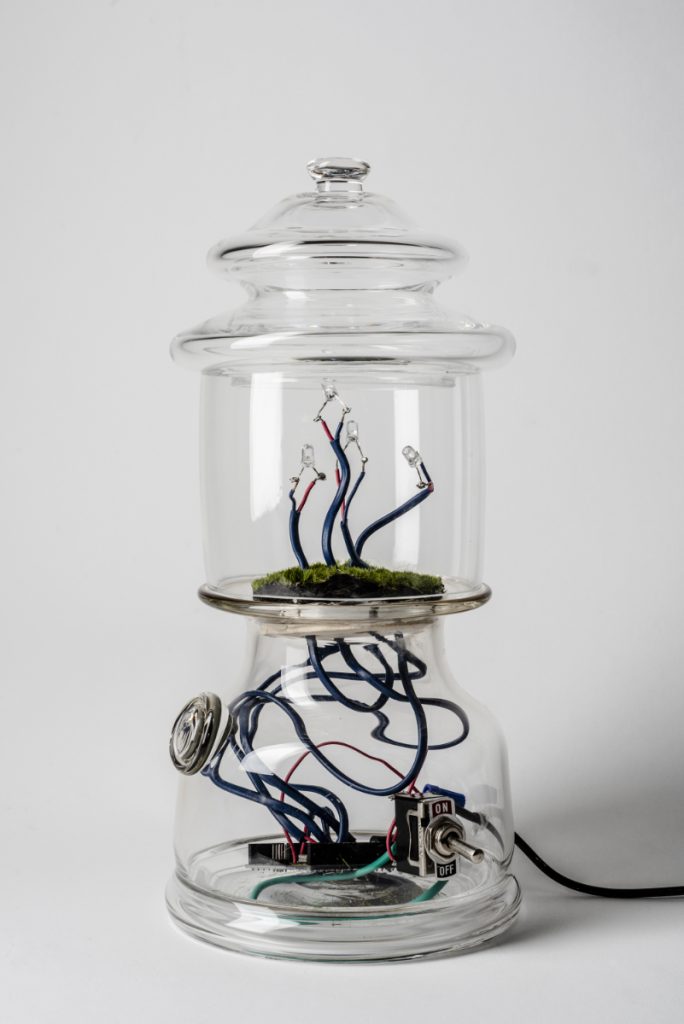 Clear glass lantern-shaped object containing wires, LEDs, and moss