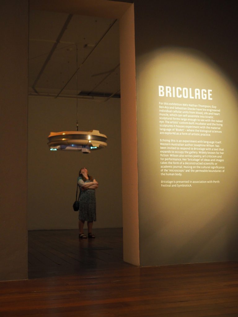 A woman stands in a gallery looking up at Bricolage, a ring-like incubator hanging from the ceiling.