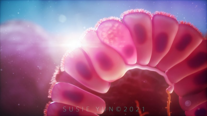 A image of Villus: T* Featured image: Cross-section of a Villus – Still from Gut-Brain Connection in Parkinson’s Disease (2021)