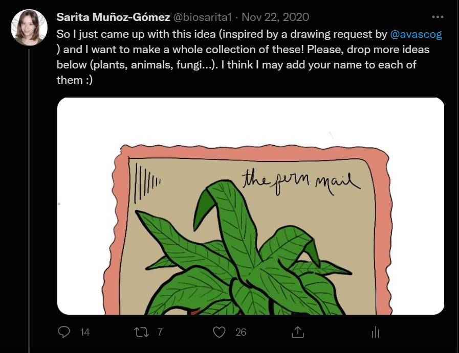 alt text: Screenshot of a tweet by Sarita Muñoz-Gómez on her first illustrated stamp of a fern. The tweet reads: "So I just came up with this idea (inspired by a drawing request by @avascog) and I want to make a whole collection of these! Please, drop more ideas below (plants, animals, fungi…). I think I may add your name to each of them :)” followed by an image of the stamp containing a fern.