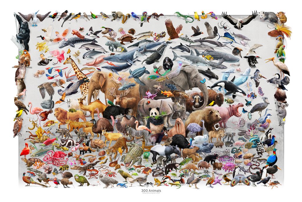 A picture of 300 colourful animals including sea animals, birds etc. 