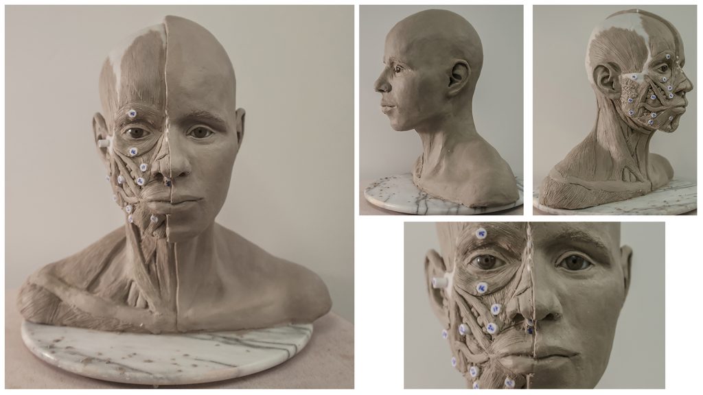 The image  shows a forensic facial reconstruction sculpture in grey. 