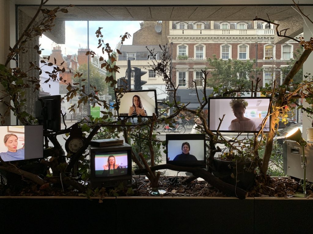 Five screens, each showing one person, displayed amongst leafy branches in front of a window