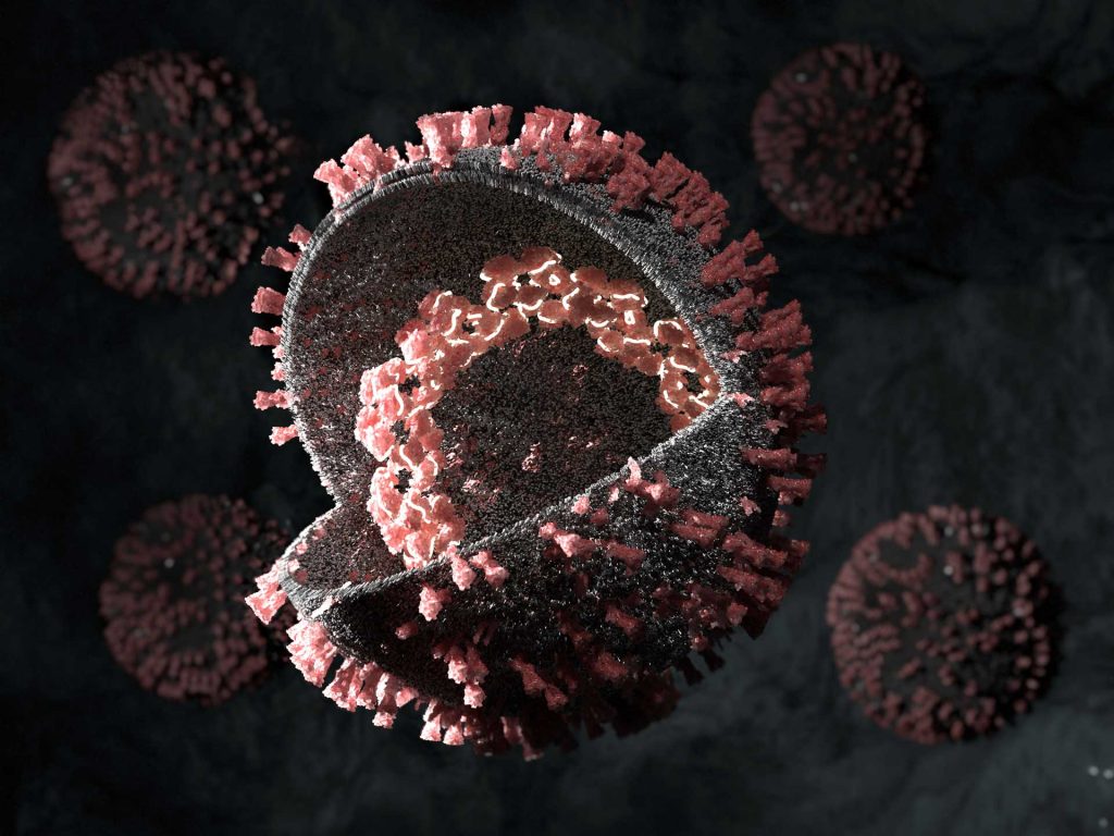 Imagen del coronavirus  