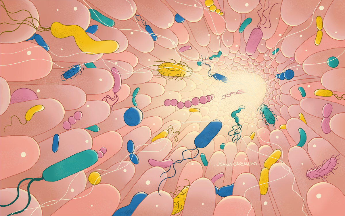 An illustration of of colourful microbes moving through the intestine toward a light source