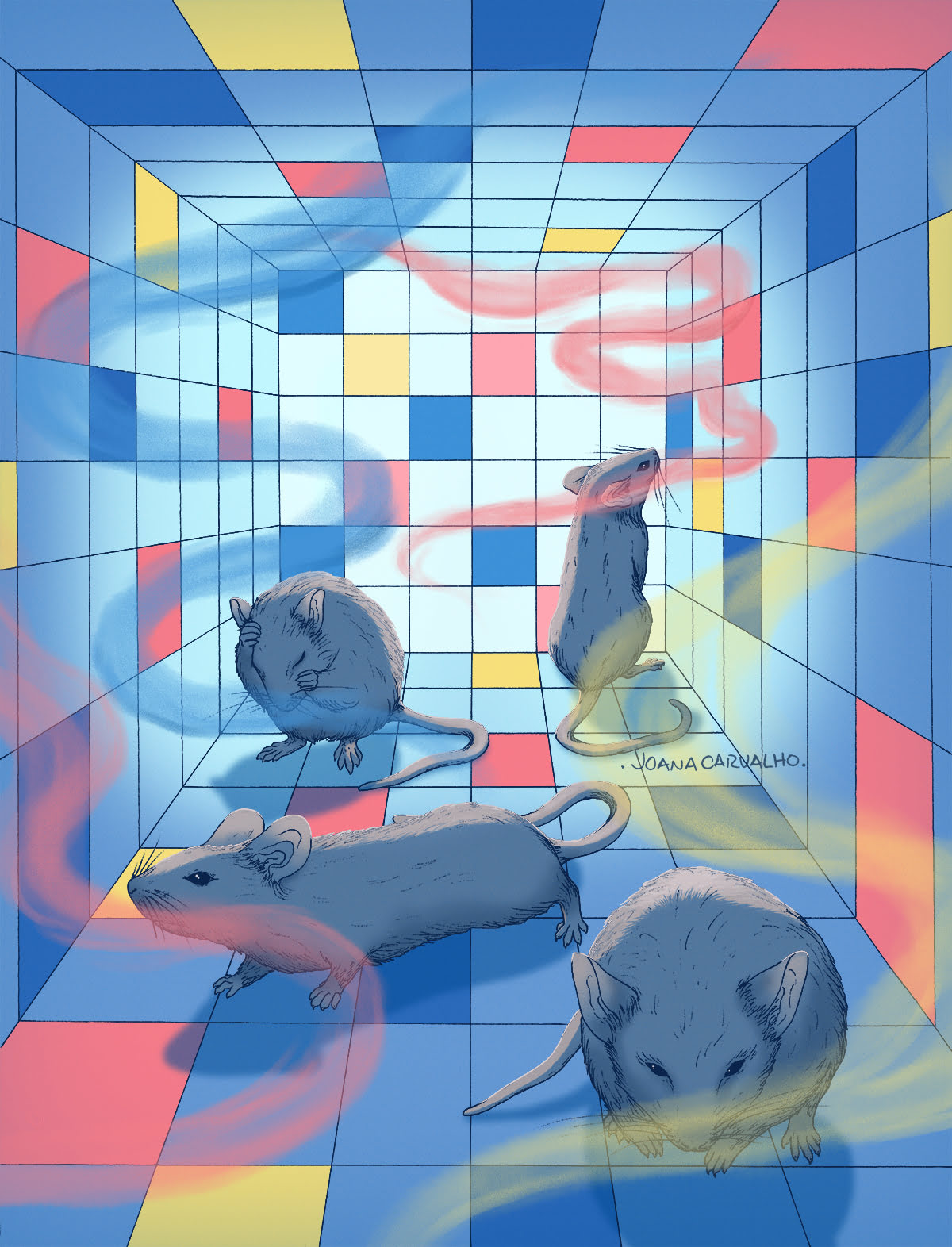An illustration of four rats in an enclosed space, tiled with coloured squares