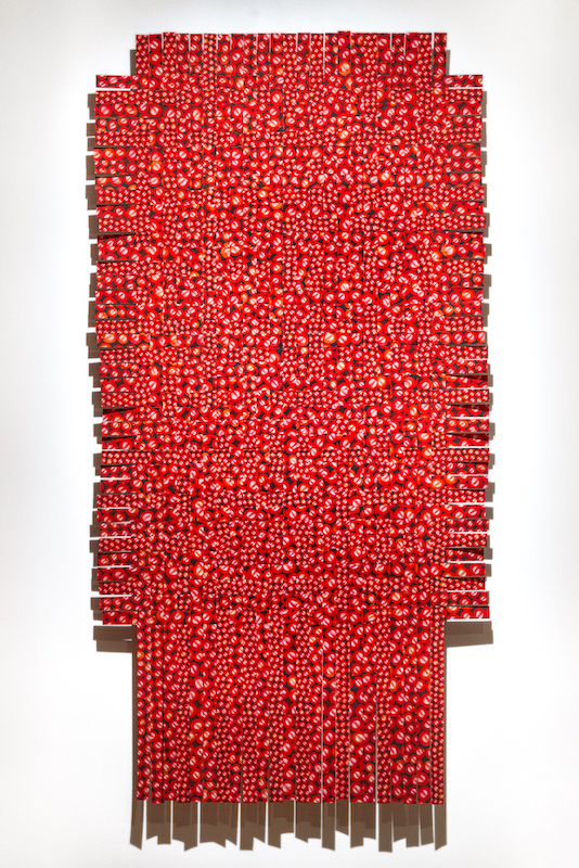 "Hemoglobin" by Daphne Boyer. Thin ribbons printed with a glistening array of red cranberries, of various sizes, are woven together to form a flowing tapestry.