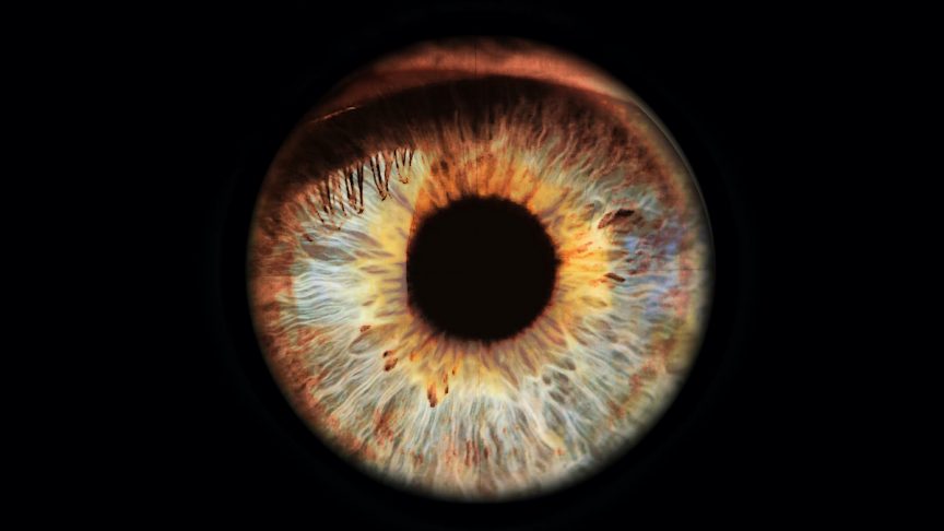 Against a black background, an image of an iris