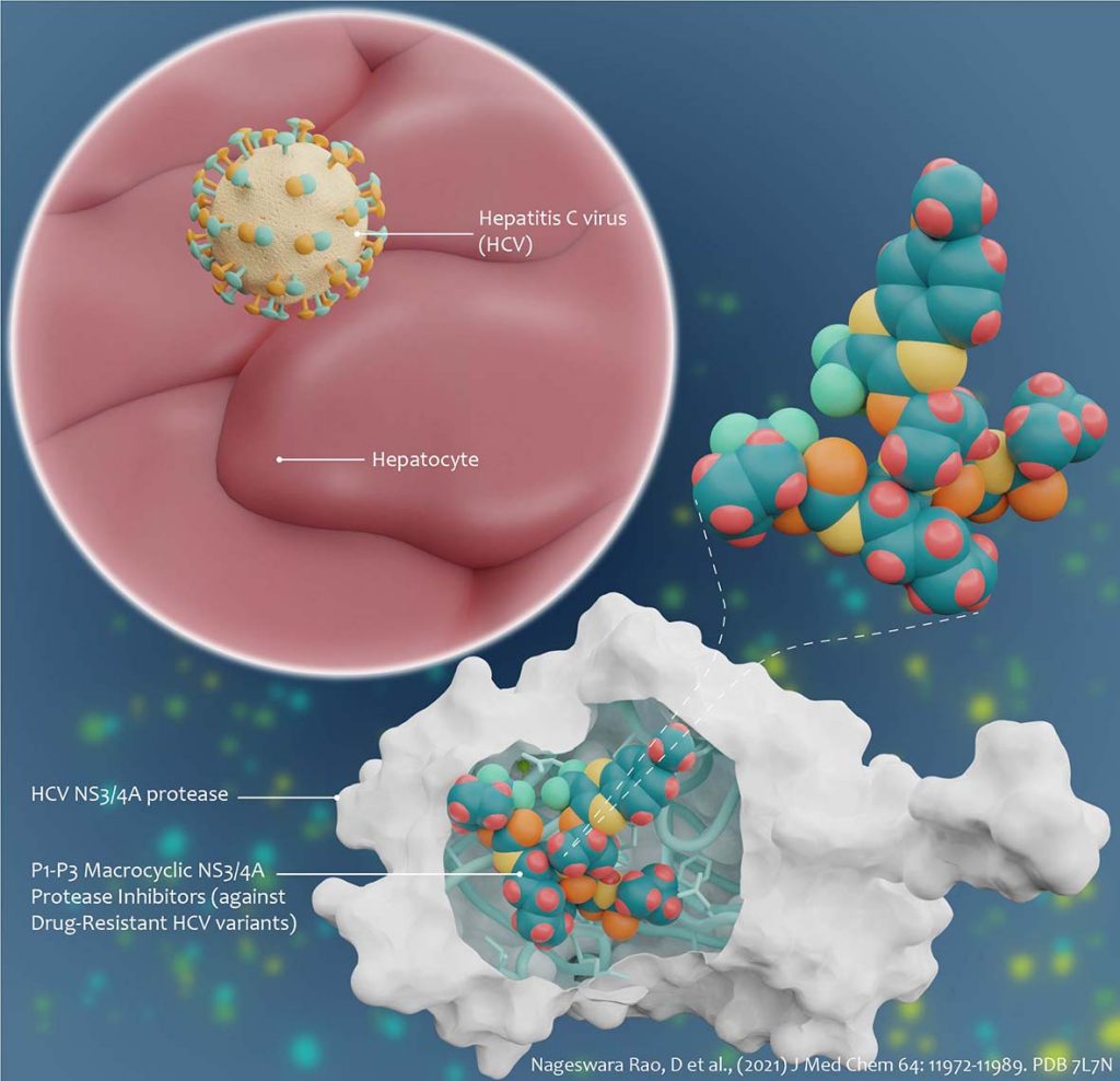 image of hepatitis C virus compound 50 which shows different coloured molecules 