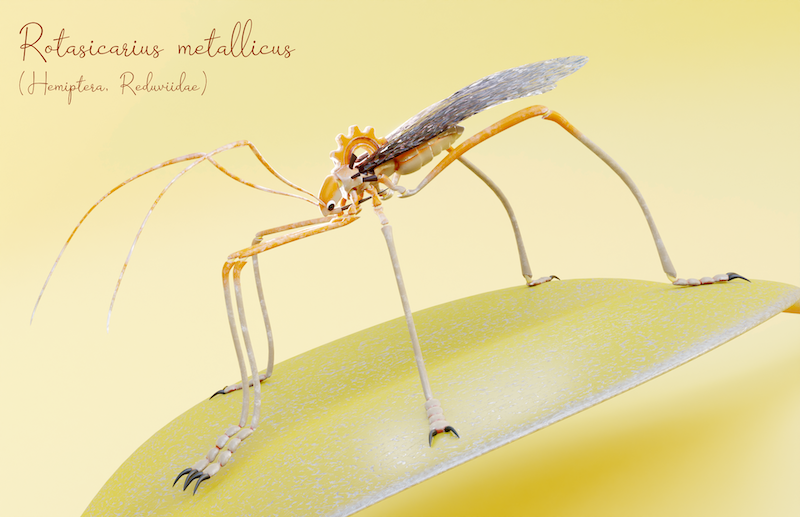 a 3D image of an imagined insect called Rotasicarius metallicus, based on Hemiptera reduviidae